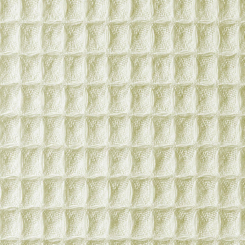 Image of fvx.C664N.2.jpg