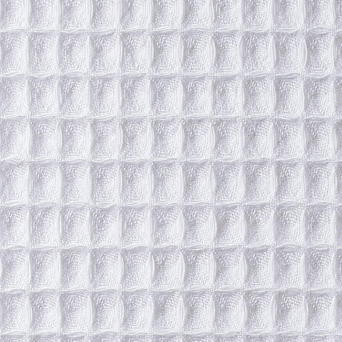 Image of fvx.C668W.2.jpg