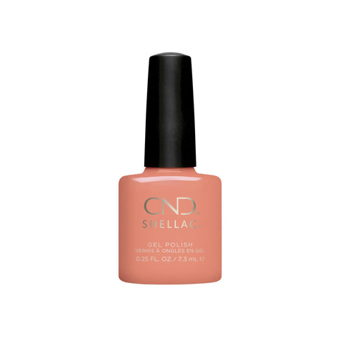 Image of fvx.CND480.1.jpg