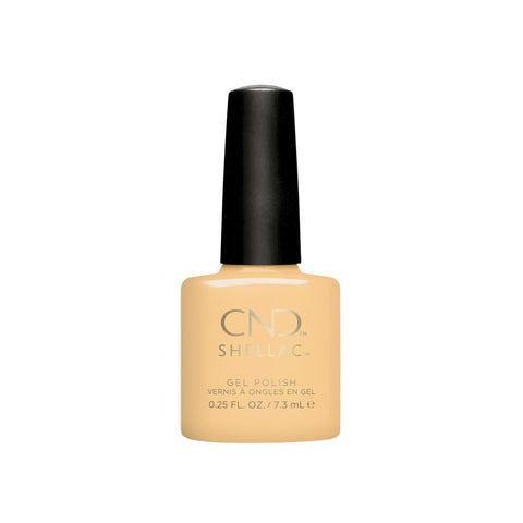 Image of fvx.CND481.1.jpg