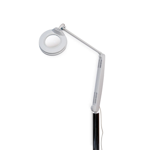 Image of fvx.GH111.1.jpg