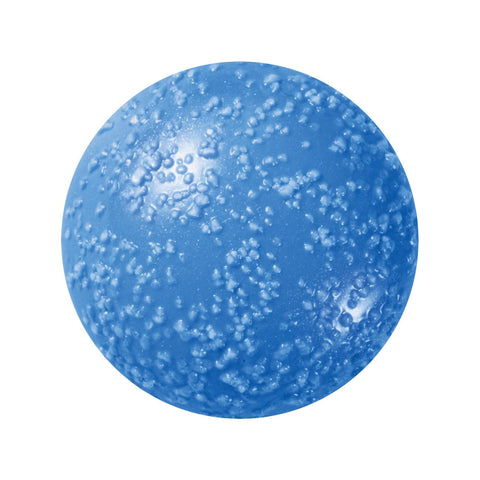 Image of fvx.HP1383.2.jpg