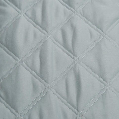 Image of fvx.JL357.1.jpg