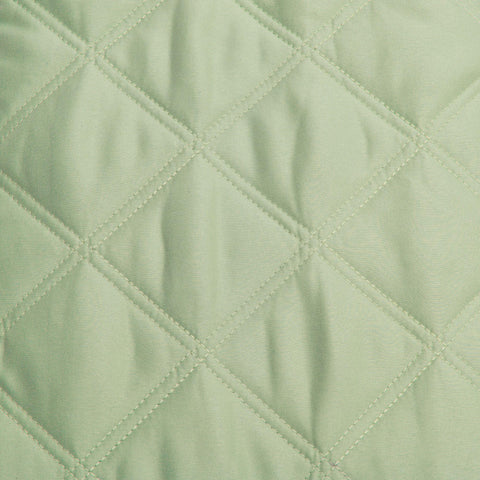 Image of fvx.JL359.2.jpg