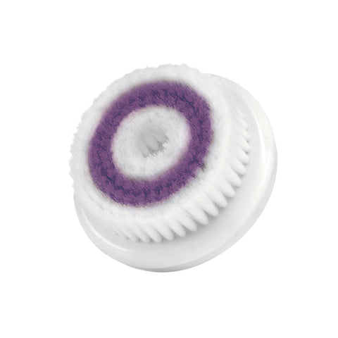 Image of fvx.SAT310.1.jpg