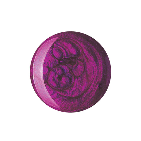 Image of fvx.SR88002.1.jpg