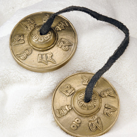 Image of fvx.C1331T.1.jpg