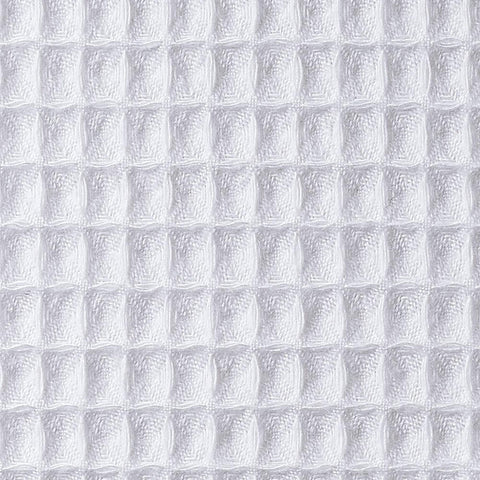 Image of fvx.C8981.2.jpg