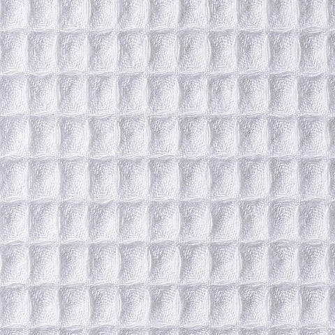 Image of fvx.C8982.2.jpg