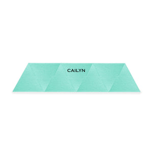 fvx.CALN419.1.JPG