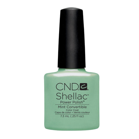 Image of fvx.CND277.1.jpg