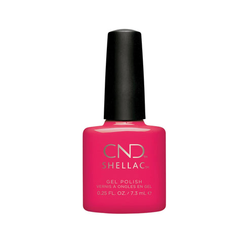 Image of fvx.CND479.1.jpg