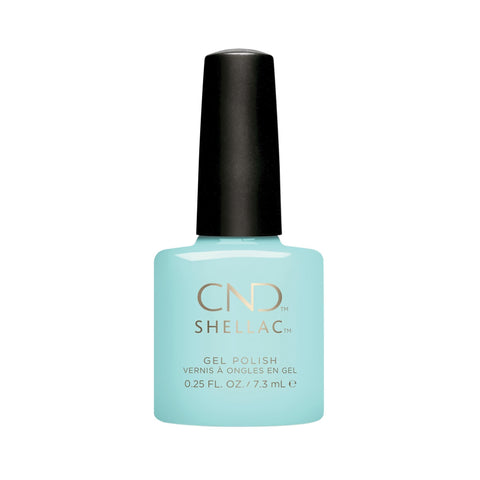 Image of fvx.CND496.1.jpg