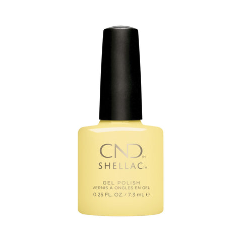Image of fvx.CND497.1.jpg