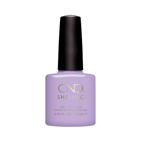 Image of fvx.CND498.1.jpg