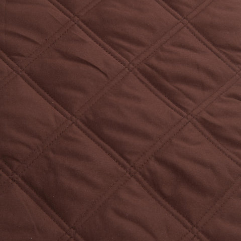 Image of fvx.JL355.1.jpg