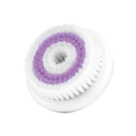 Image of fvx.SAT308.1.jpg