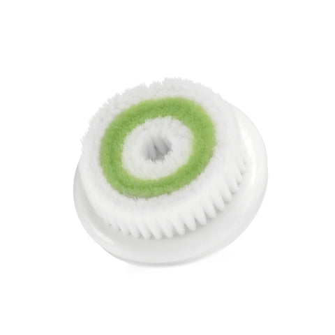 Image of fvx.SAT309.1.jpg