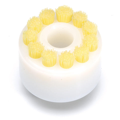 Image of fvx.ds204.1.jpg